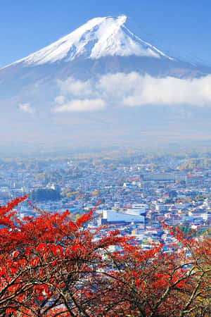 白雪覆蓋的富士山俯瞰著前景有紅色秋葉的城鎮。