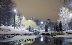 白雪覆蓋的公園池塘在夜晚反射城市燈光。