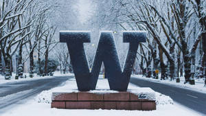 冬季街景中，磚砌基座上一個被雪覆蓋的大型字母W。