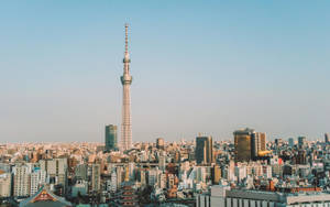 東京晴空塔在晴朗的藍天和黃金時段光線下，主宰著城市天際線。 — 唐人街 GIF 壁紙