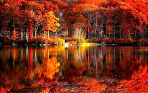 秋林，紅橙色樹木倒映在平靜的湖水中。