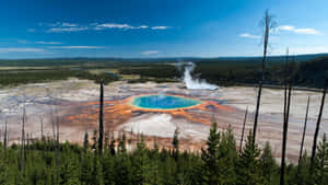 充滿活力的藍綠色溫泉，蒸汽升騰，被森林和礦物沉積物環繞。