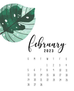 2023年2月月曆，帶有綠色葉子插圖。