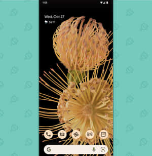兩朵金色帝王花，花瓣帶刺，作為手機壁紙。 — 鎖屏 壁紙
