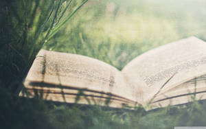 打開的書躺在沐浴陽光的草地上，帶有柔和的陰影。