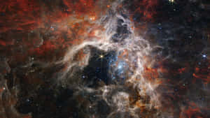 在深空中帶有發光星星的鮮豔紅色和藍色星雲。 — 太空 壁紙
