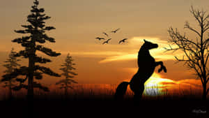 夕陽下揚起前蹄的馬剪影，頭頂有鳥飛過。 — 馬 壁紙