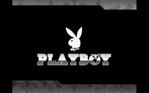 Playboy標誌，帶兔子和文字，黑色背景