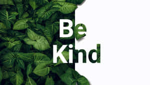 茂密的綠色葉子框住了「Be Kind」這幾個大膽的白色文字。