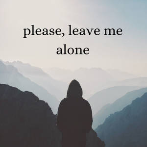 戴帽人物的剪影站在山脊上，有霧氣瀰漫的山谷和文字 please leave me alone。