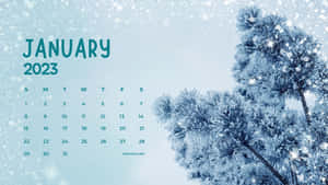 2023年1月月曆，帶有結霜的松樹枝和雪花。