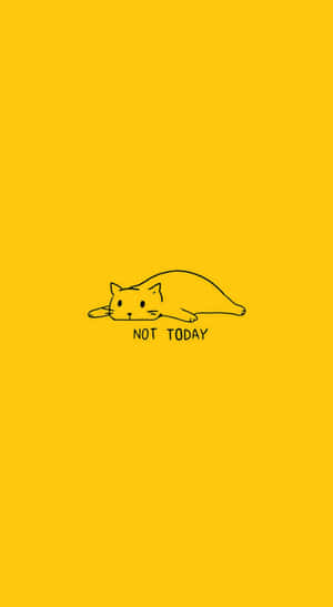 在黃色背景上，一隻貓的簡單線條畫，帶有文字 not today。