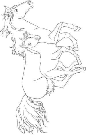 兩匹馬，一匹成年一匹幼馬，以優美的動作向上跳躍，以黑色線條勾勒。 — 鎖定螢幕 壁紙