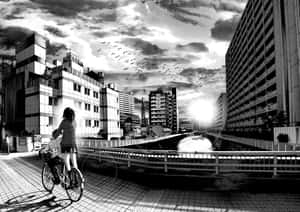日落時分，兩個人在城市橋上騎單車，鳥兒在頭頂飛翔。 — 暮光 壁紙