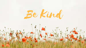 橙色罌粟花田與文字 Be Kind — 鼓舞人心的 壁紙