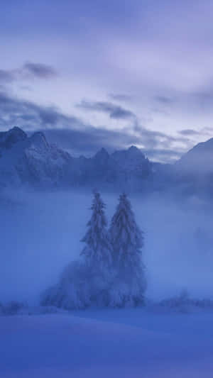 暮色中霧谷裡的雪松，背景有山巒。 — 夢境 GIF 壁紙
