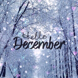 白雪覆蓋的樹木、發光粒子和優雅草書的「Hello December」文字。