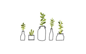 五個小植物放在各種容器中，帶有綠色葉子，背景為白色。 — 植物 壁紙