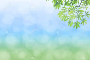 綠色樹枝映襯著柔和的藍綠色模糊背景。 — 花園牆外 壁紙