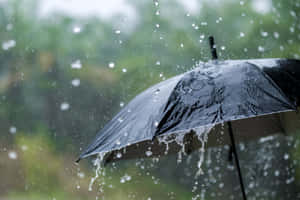大雨中黑色雨傘的特寫，水滴飛濺。