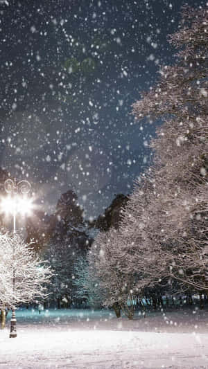 雪夜中街燈下的雪景公園。