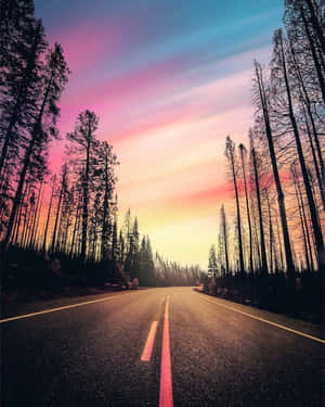 日落時分穿過森林的道路，天空色彩繽紛
