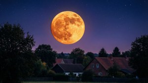 村莊上空的大橙色月亮，夜晚，樹木和星星
