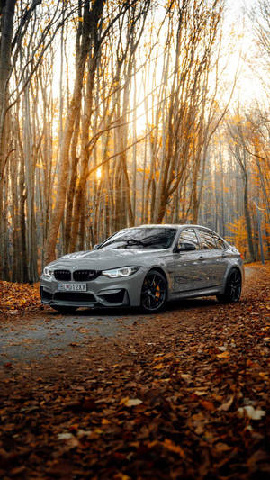 金色夕陽下，銀色BMW M4停泊在鋪滿秋葉的森林道路上。