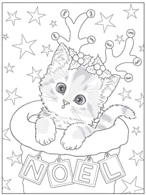 一隻節日小貓在帶有'NOEL'標籤和星星裝飾的聖誕襪裡。 — 可愛貓咪 壁紙