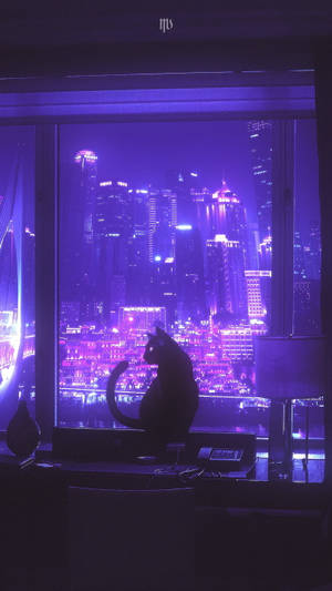 黑貓在夜晚從窗戶觀看發光的城市燈光。