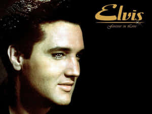 貓王皮禮士利嘅肖像，黑色背景上有金色文字寫住「Elvis Forever in Love」。 — 貓王 壁紙
