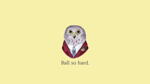 一隻插圖貓頭鷹穿著西裝和領帶，帶有徽章和文字「Ball so hard。」