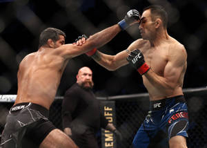 兩名戴著MMA手套的男性拳手在八角籠內互相出拳。