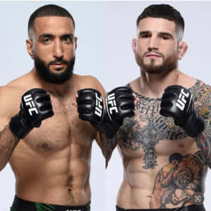 兩名赤裸上身的男性UFC拳手，帶有紋身和手套，為比賽擺姿勢。