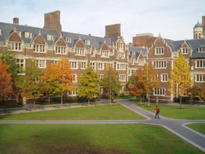 學生們在一個兩旁種滿秋樹和歷史磚造建築的大學庭院中漫步。