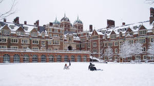孩子們在一棟大型大學建築前的雪地上滑雪橇。
