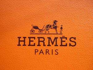 Hermès Paris 標誌在橙色紋理皮革上，帶有馬和馬車標誌。