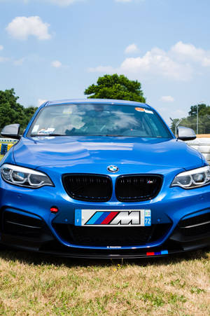 藍色BMW M2跑車停在草地上，天空晴朗，背後有樹木。 — 草 壁紙