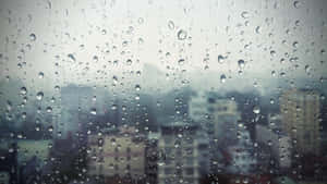 窗玻璃上的雨滴，背後是模糊的城市景觀。