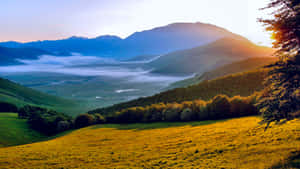 日出時的金色山丘和霧氣山谷，遠方山巒