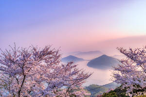 櫻花框住霧氣瀰漫的湖泊和山脈在日出時。