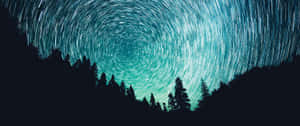 星軌在夜間於深色松樹上方以青綠色旋轉。