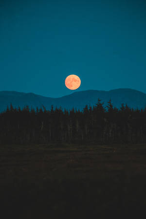 夜間橙色滿月從黑暗山脈和森林上方升起。 — 月色夜空 壁紙