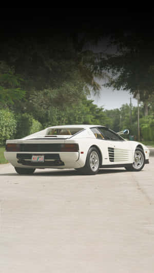 白色法拉利 Testarossa 停泊在混凝土車道上，背景有熱帶樹木。