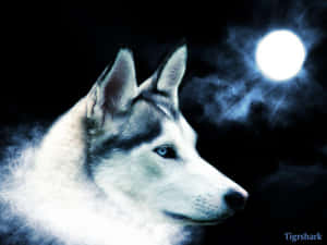 一隻藍眼睛的哈士奇犬，在明亮的月亮下，處於霧氣瀰漫的夜晚場景中。