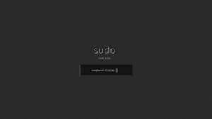 深色終端螢幕，帶有 sudo root kills 文字和命令提示字元。