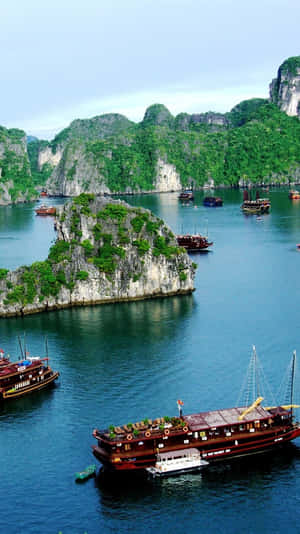 傳統船隻漂浮在寧靜海灣中茂密的喀斯特島嶼之間。