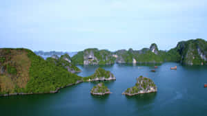 鬱鬱蔥蔥的喀斯特島嶼從平靜的藍色海水中升起，天空晴朗。