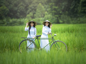 兩位穿著傳統越南服飾的女性在稻田中與自行車一起。