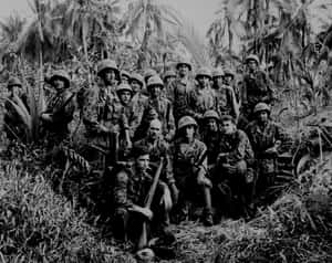 一群穿著叢林迷彩服的士兵在棕櫚樹間持步槍擺姿勢。